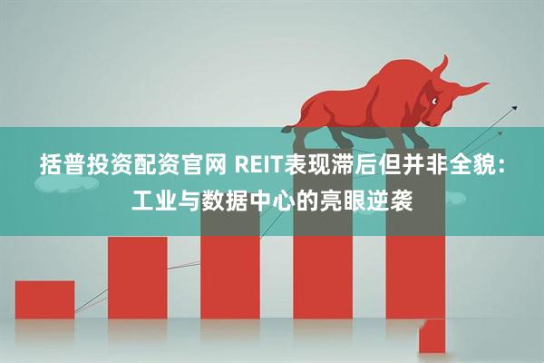 括普投资配资官网 REIT表现滞后但并非全貌：工业与数据中心的亮眼逆袭